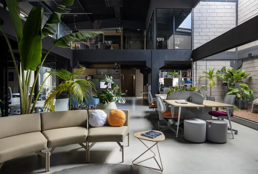 Pátio interno com lounges e vegetação natural.